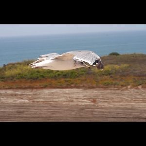 Moving sale!! It’s all got to go!!